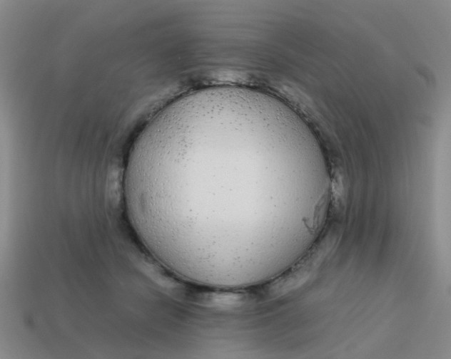 X0000113560462200910161500