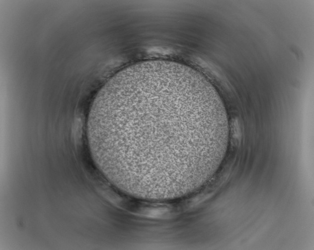 X0000113560463200910161500
