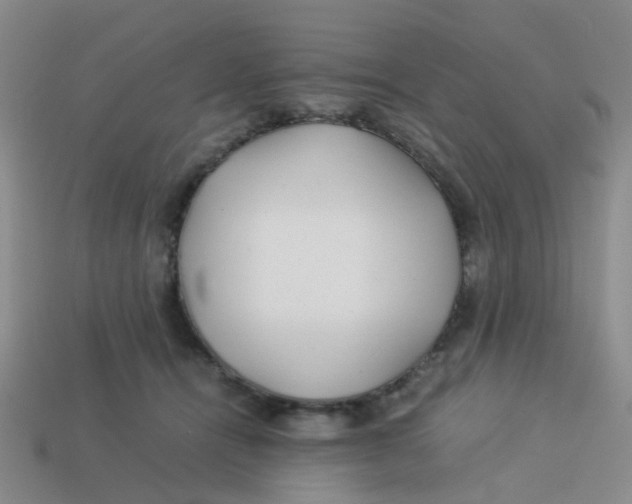 X0000113560464200910161500