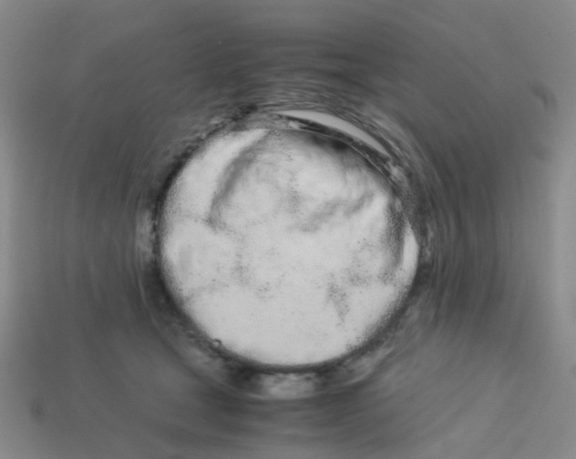 X0000113560465200910161500
