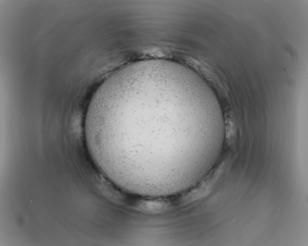 X0000113560466200910161500