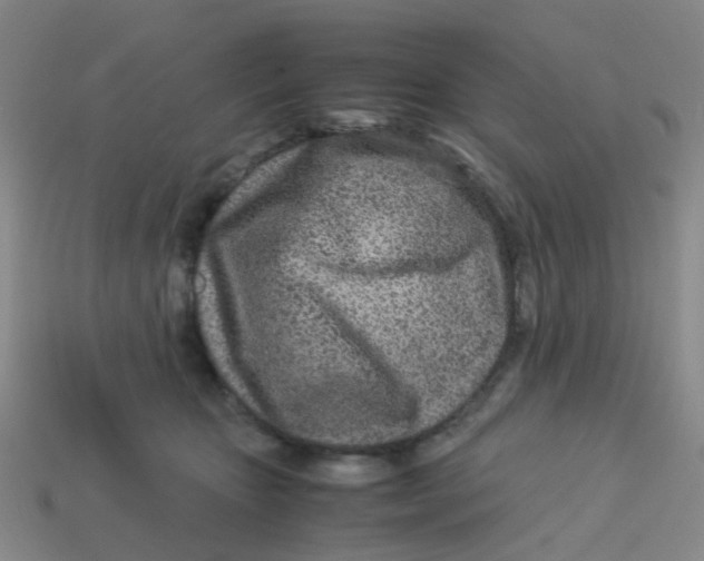 X0000113560467200910161500