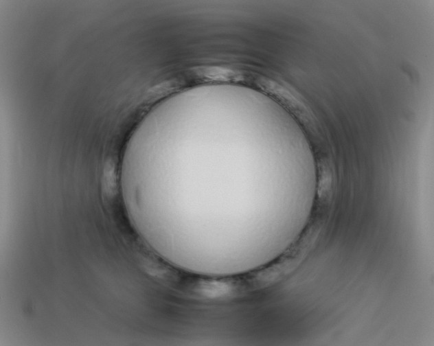 X0000113560469200910161500