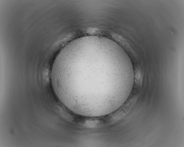 X0000113560470200910161500