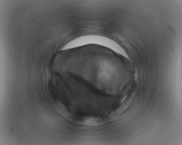 X0000113560471200910161500