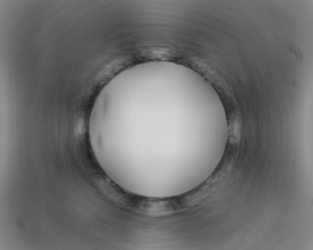 X0000113560472200910161500