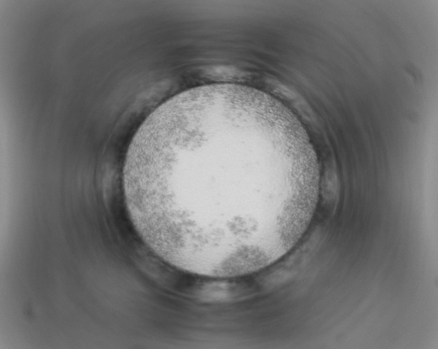 X0000113560473200910161500