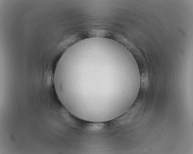 X0000113560474200910161500