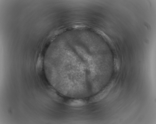 X0000113560475200910161500