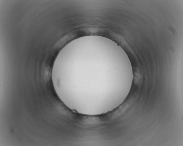 X0000113560476200910161500