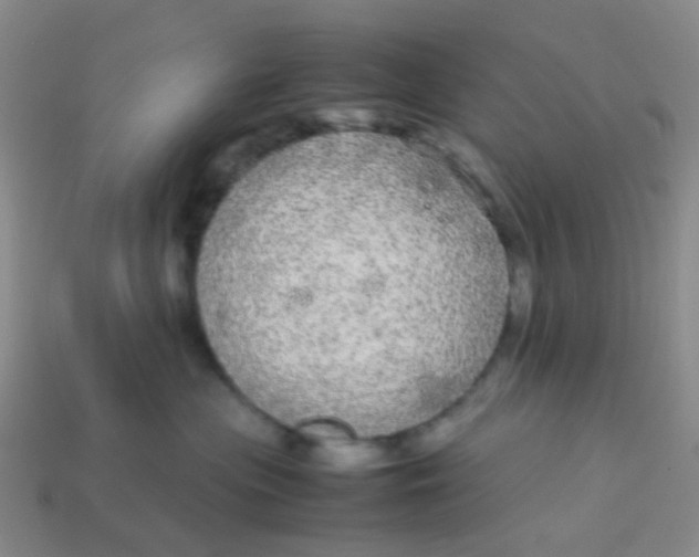 X0000113560477200910161500