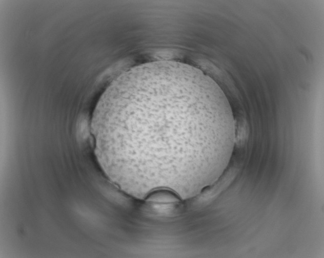 X0000113560478200910161500