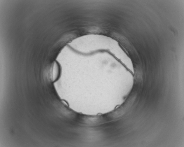 X0000113560479200910161500