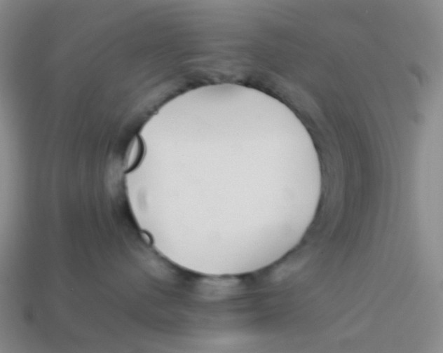 X0000113560480200910161500