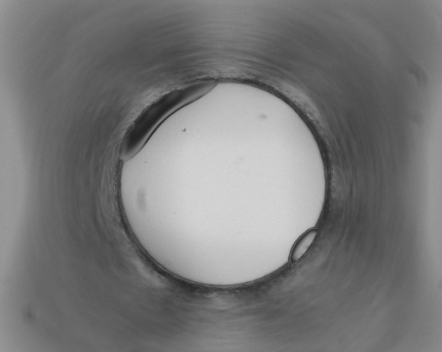X0000113560481200910161459