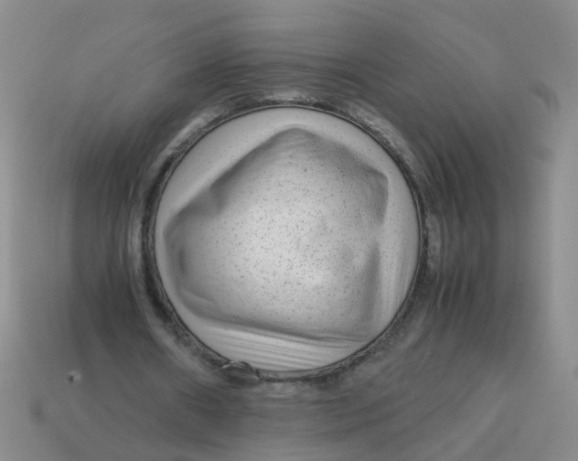 X0000113560482200910161459