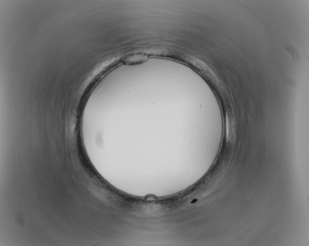 X0000113560483200910161459