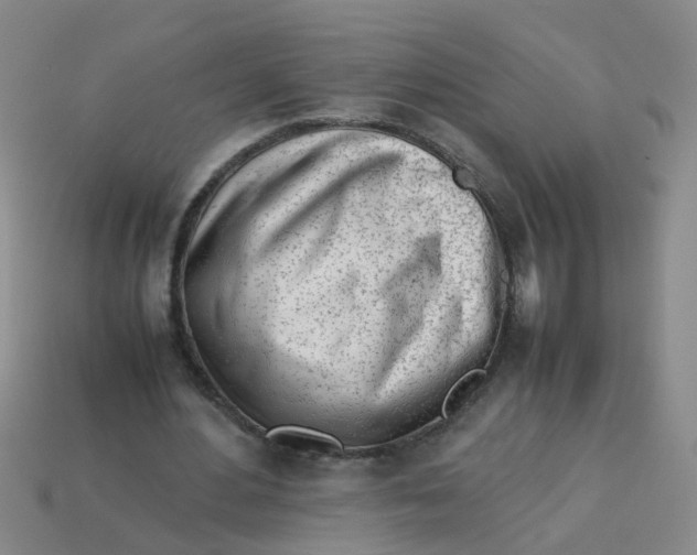 X0000113560484200910161459