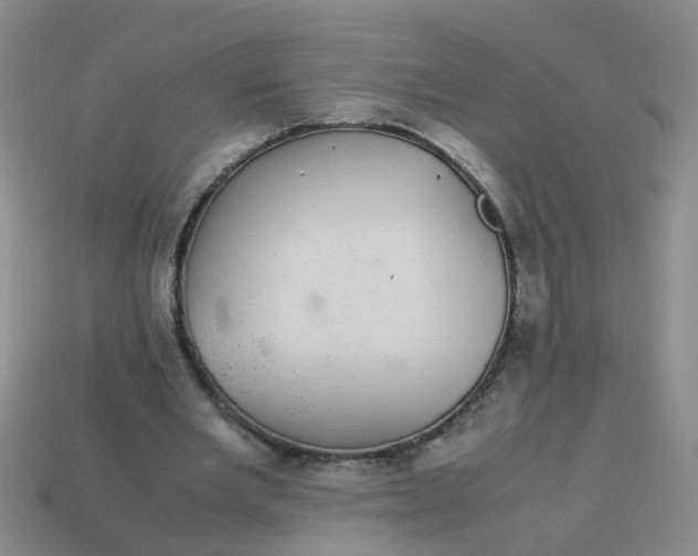 X0000113560485200910161459