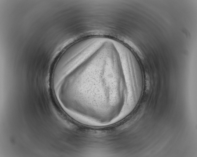 X0000113560486200910161459