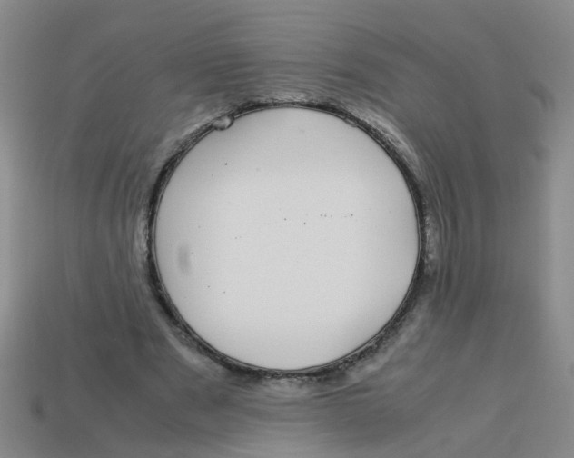 X0000113560489200910161459
