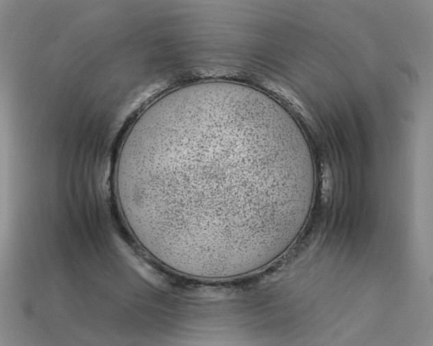 X0000113560490200910161459