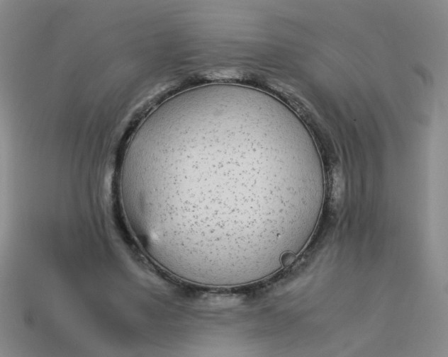 X0000113560491200910161459