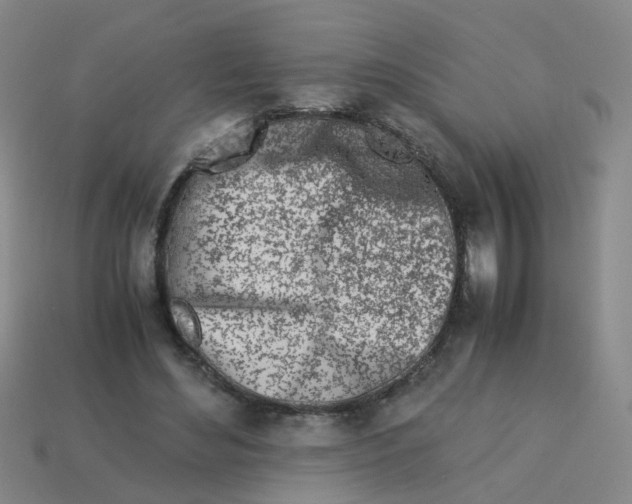 X0000113560492200910161459