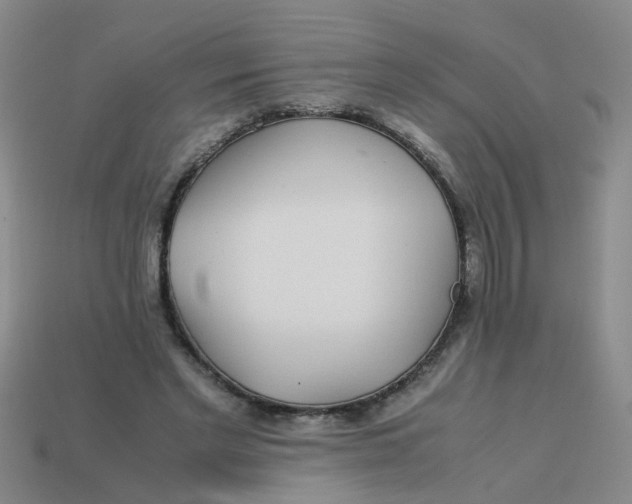 X0000113560493200910161459