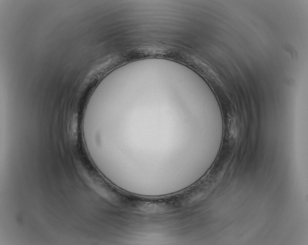 X0000113560494200910161459