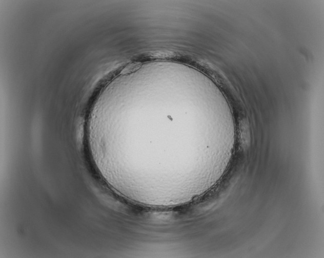 X0000113560495200910161459