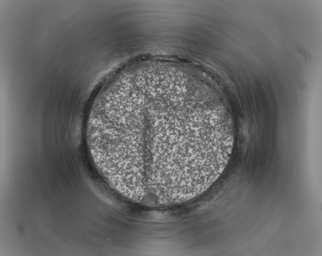 X0000113560496200910161459