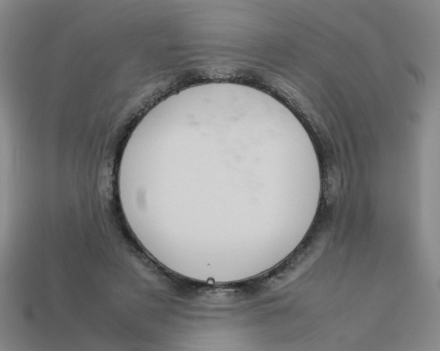 X0000113560497200910161459