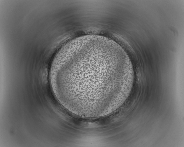 X0000113560498200910161459