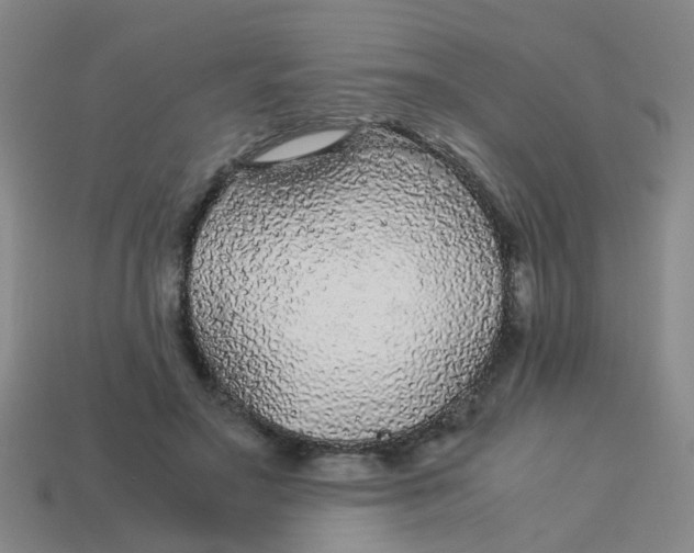 X0000113560499200910161459