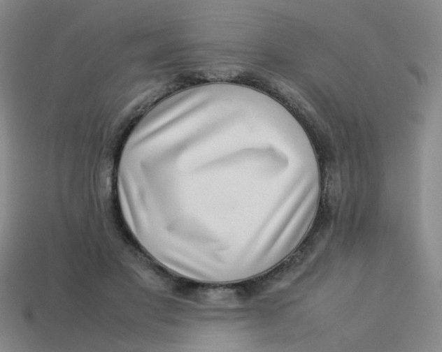 X0000113560501200910161459
