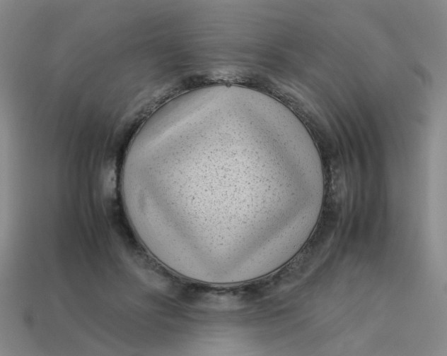 X0000113560502200910161459