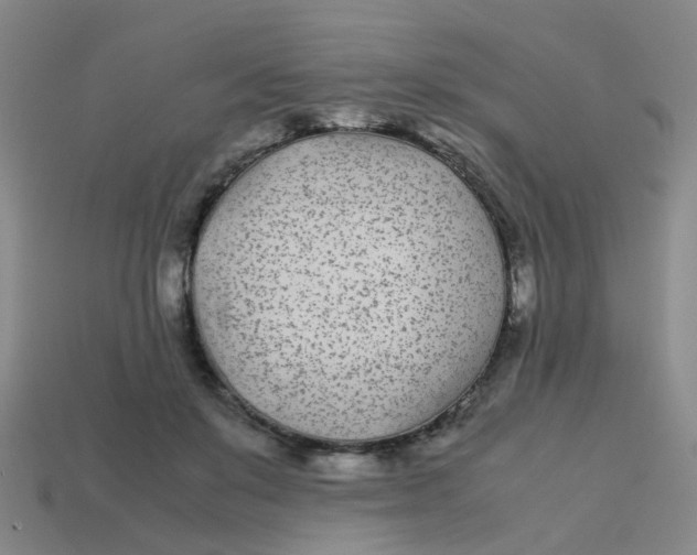 X0000113560503200910161459
