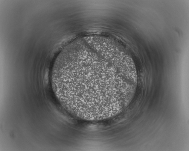 X0000113560504200910161459