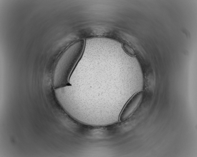 X0000113560505200910161459