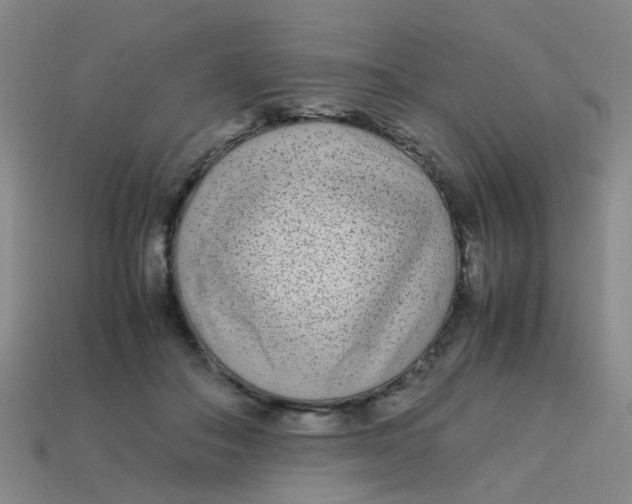 X0000113560506200910161459