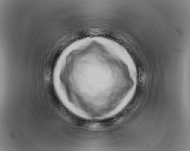 X0000113560507200910161459