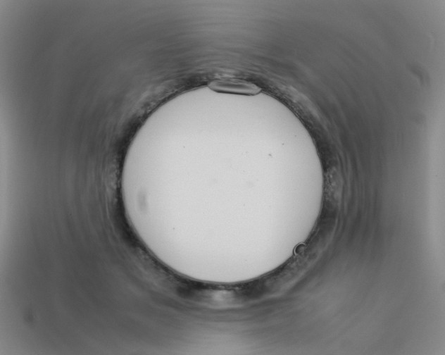 X0000113560509200910161459