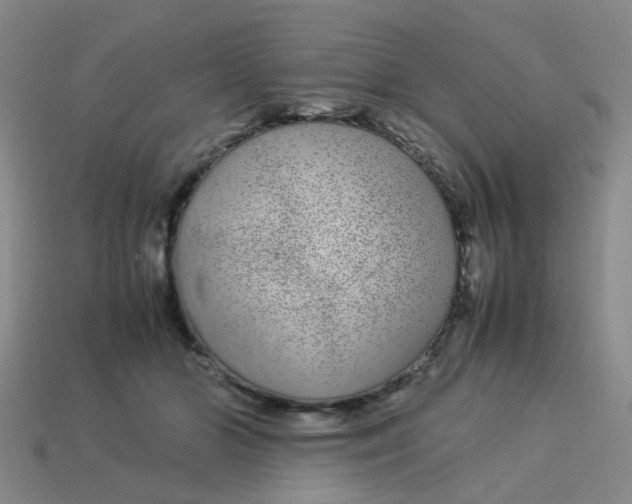 X0000113560510200910161459
