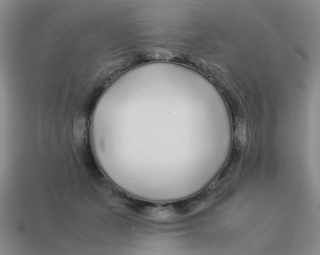 X0000113560511200910161459