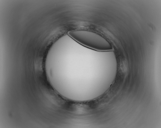 X0000113560512200910161459