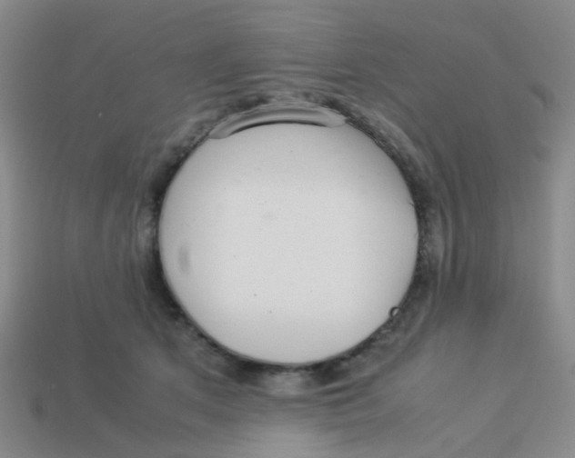 X0000113560513200910161459