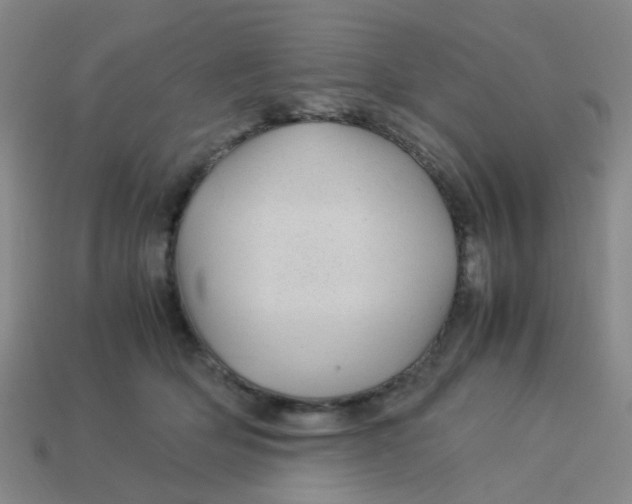 X0000113560514200910161459