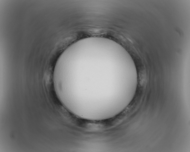 X0000113560515200910161459