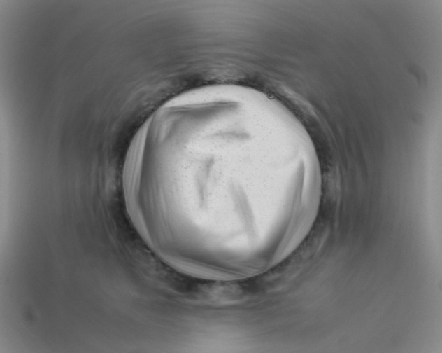 X0000113560517200910161459